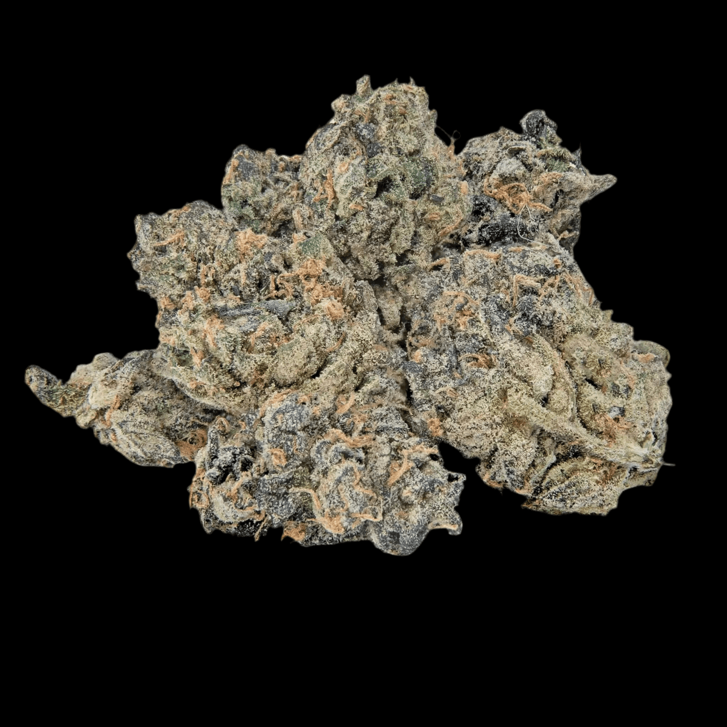 Close-up of White Cherry Gelato small cannabis buds showcasing frosty trichomes and vibrant colors.