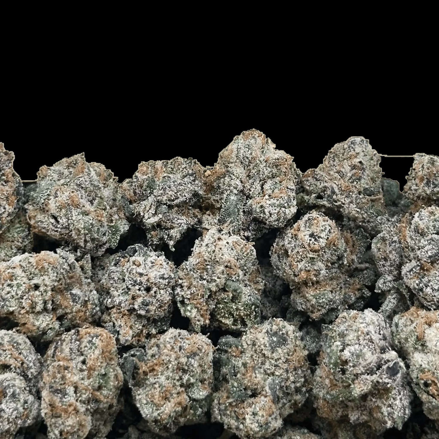 Blue Cherry Gelato small from Bay Smoke, showcasing frosty buds with earthy tones and a dense appearance.