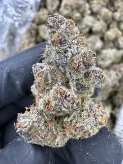 Close-up of Blackberry Superboof cannabis flower showing trichomes and vibrant colors.
