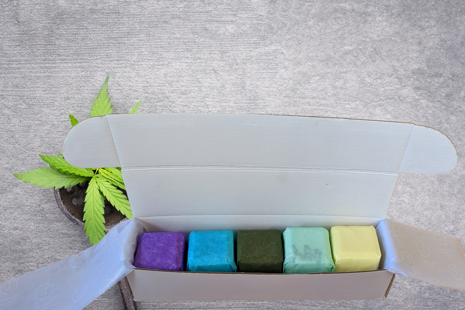 CBD shower steamers gift set in a box with five colorful fizzies and hemp leaves.