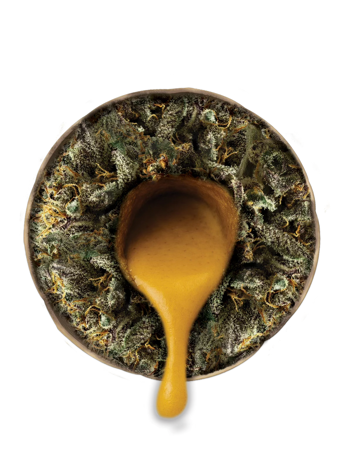 Close-up of cannabis flower with Live Rosin dripping into the center, showcasing rich texture and colors.