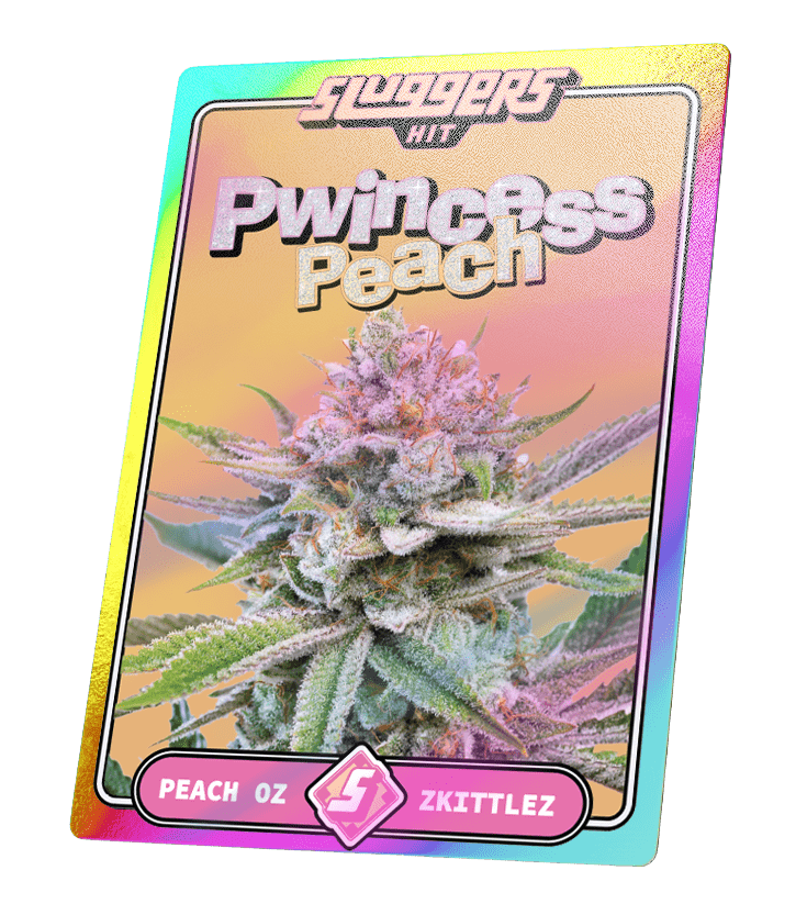Sluggers Pwincess Peach THC-A flower pack featuring vibrant cannabis buds and colorful packaging.