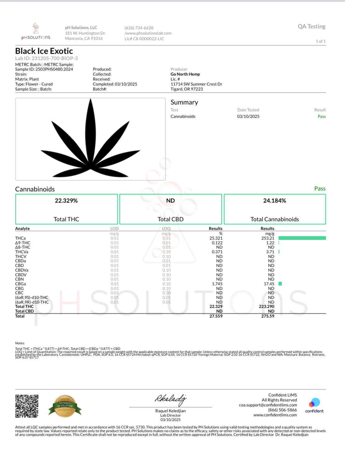 GASH HOUSE SPLIT MELONZ
