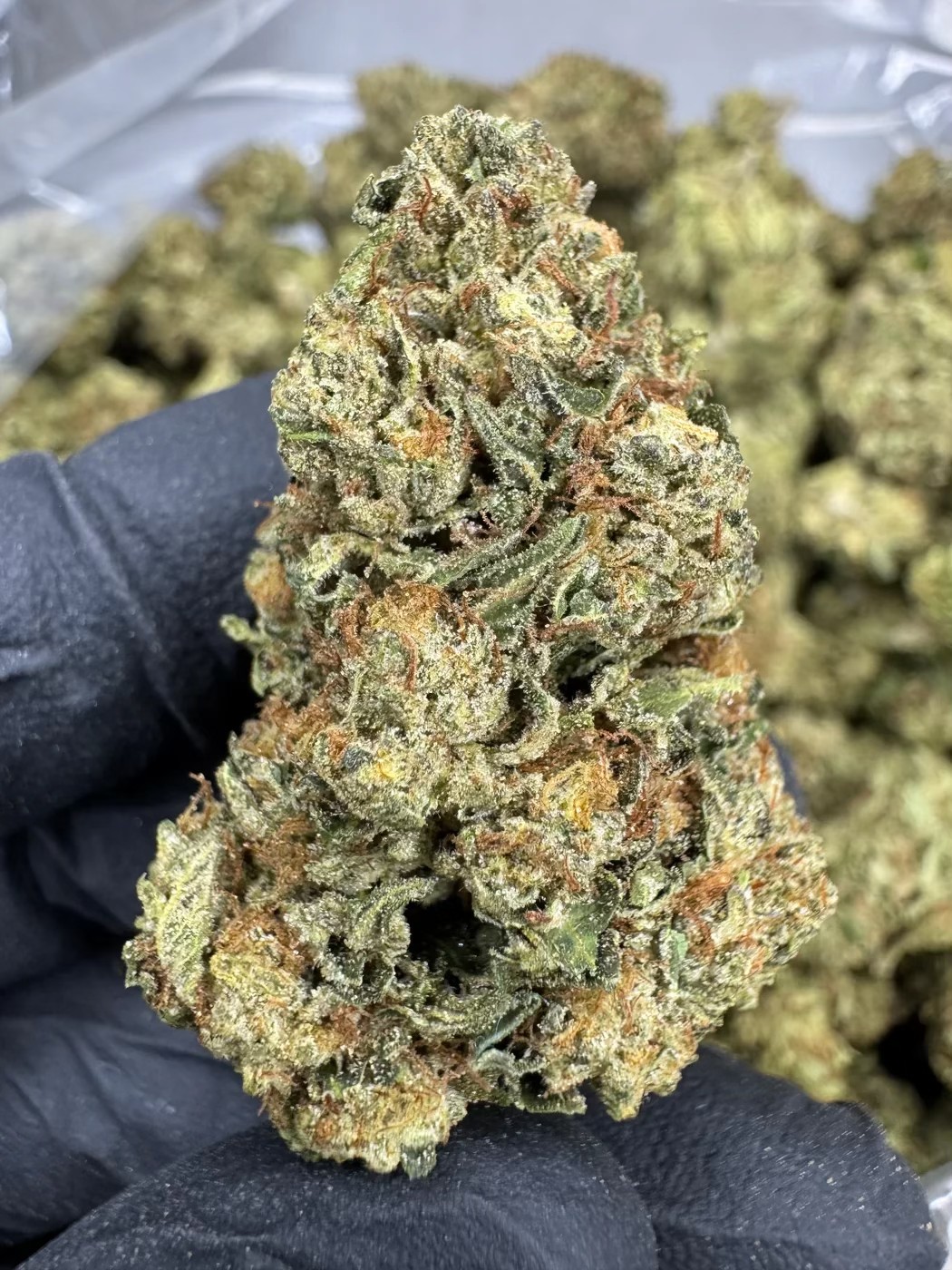 Close-up of Tiger Cake cannabis strain, showcasing its dense buds with earthy tones and rich textures for relaxation.