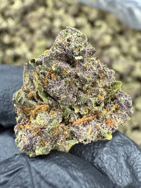 Close-up of Tropicana Cherry cannabis bud showcasing vibrant colors and textures, ideal for relaxation and creativity.